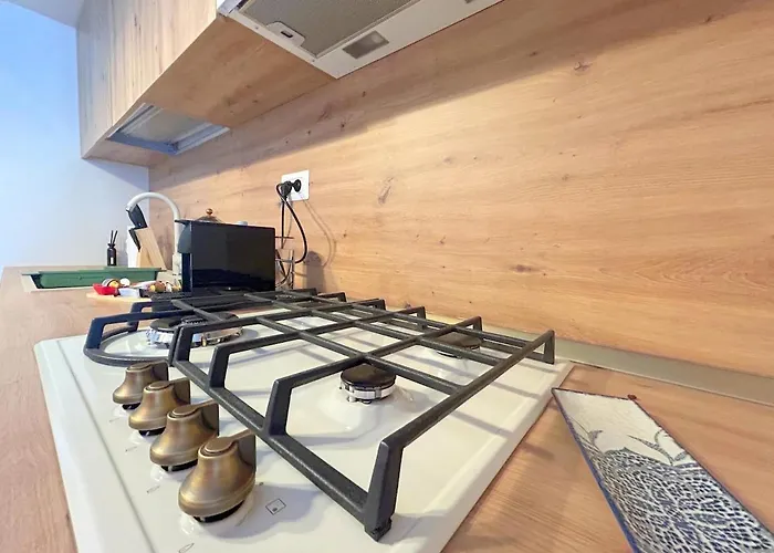 Apartment Serenity Timisoara